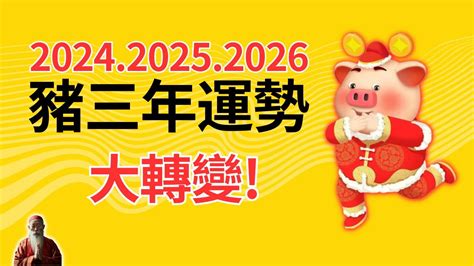 屬豬適合什麼顏色|2024年屬豬穿什麼顏色？紫色深藍旺全年 